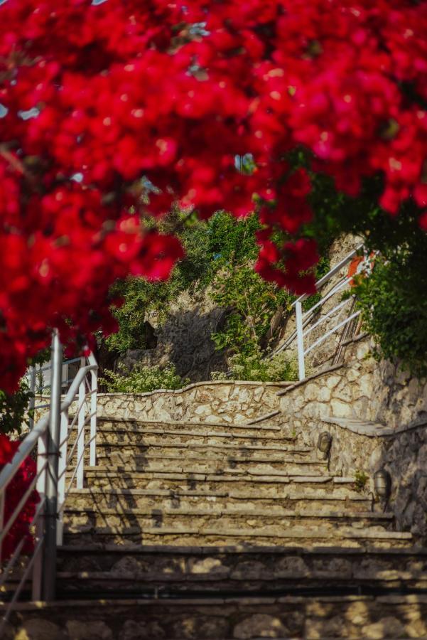 Sea Mansion Lefkada Apartment Nikiana Bagian luar foto