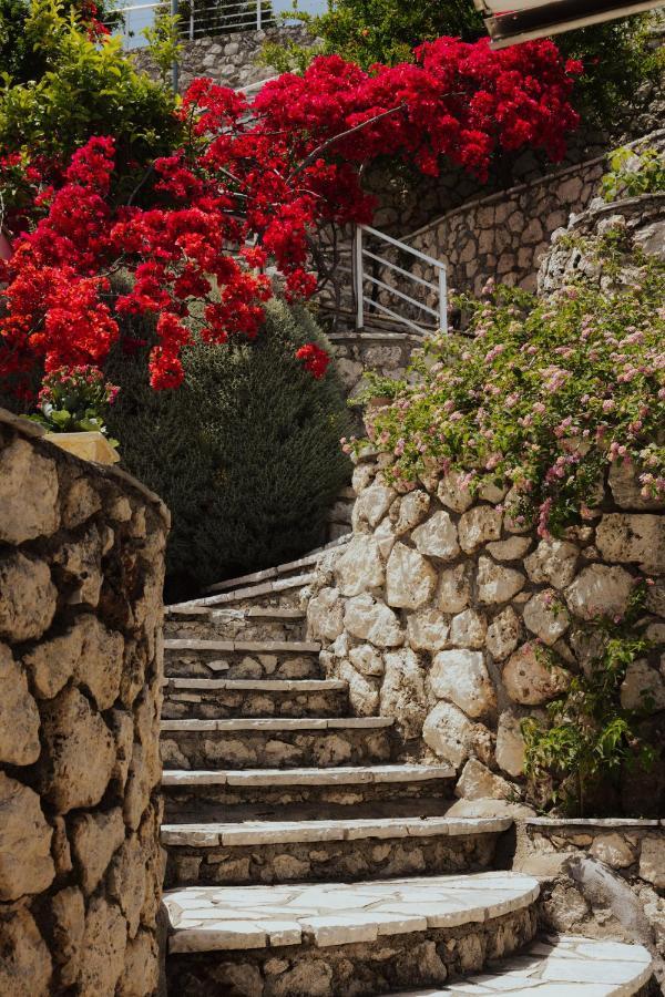Sea Mansion Lefkada Apartment Nikiana Bagian luar foto